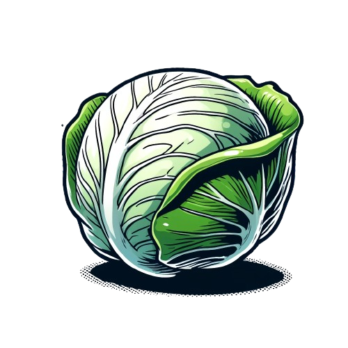 white_cabbage
